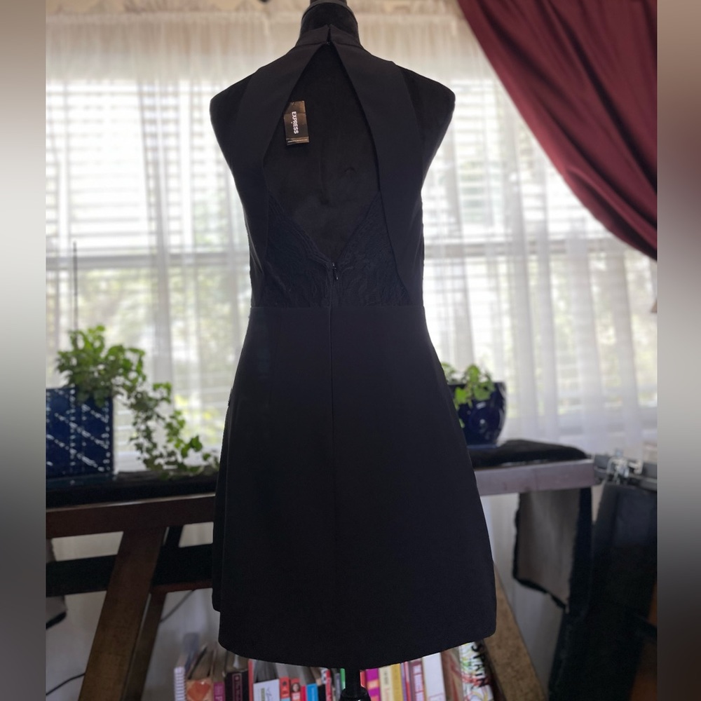 Express Dress - Picture 4 of 4